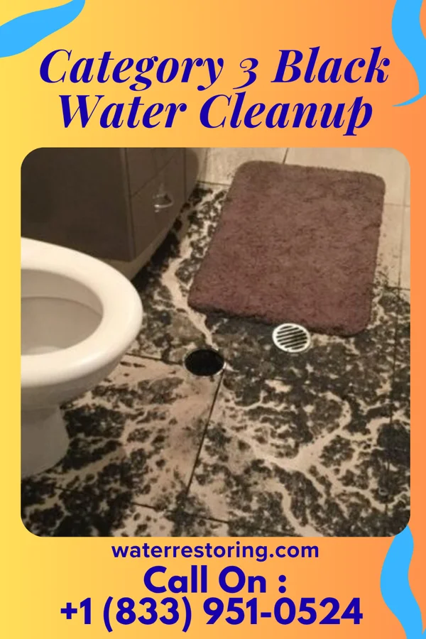 Category 3 Black Water Cleanup in Oak, NE