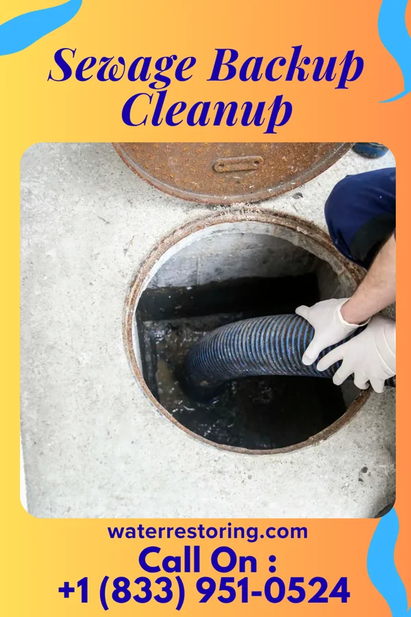 Sewage Backup Cleanup in Oak, NE
